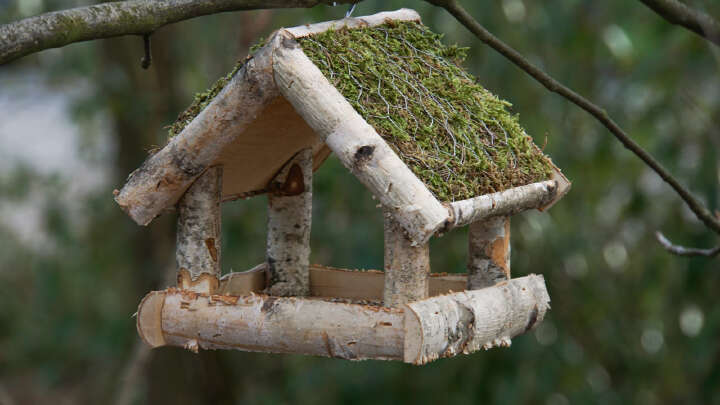 PATKAR Vogelhaus mit Moosdach